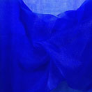 Blue Organza Blue Organza